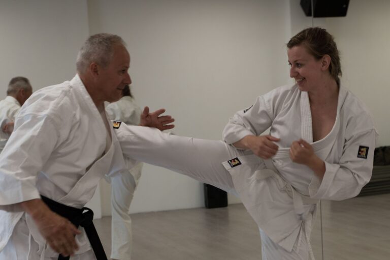 Impressie Karate Clinic